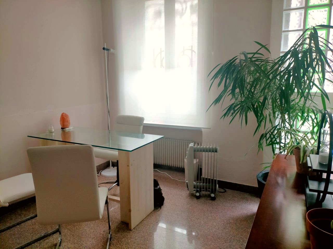 Angolo dello studio con pianta e vetro decorato